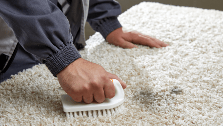 Professional Rug Cleaning Ferny Creek